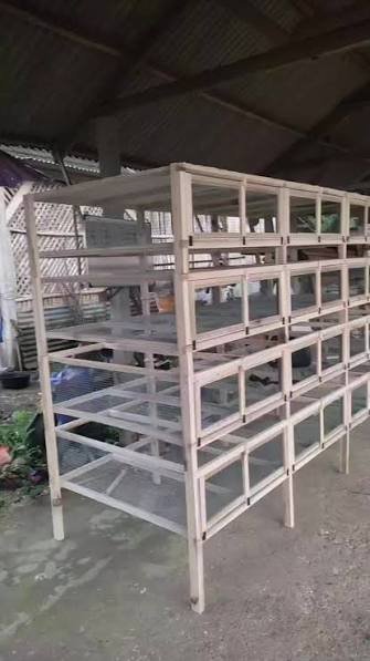 Kandang Pembesaran
