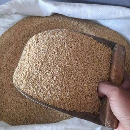 Pakan Layer