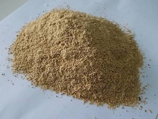 Pakan Starter